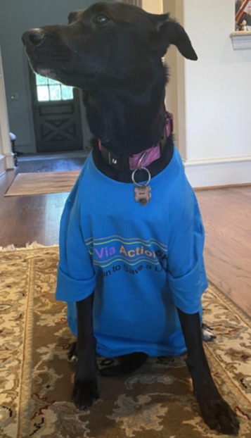 AVA 5K race photo